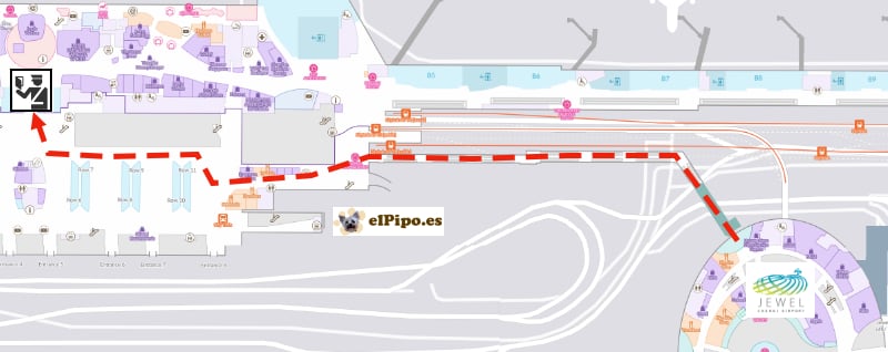 itinerario hasta la terminal 3