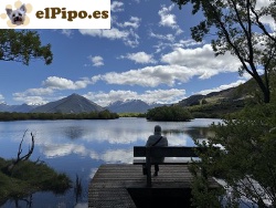 Viaje a Nueva Zelanda