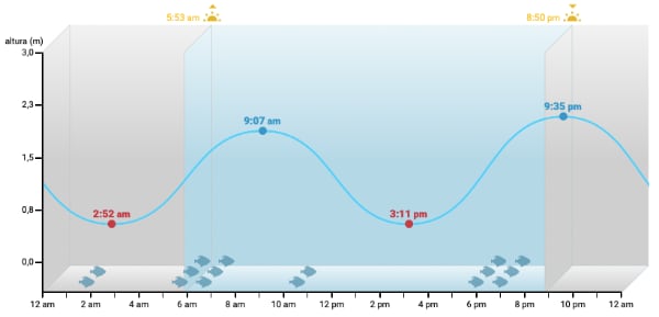 Previsión de marea en Moeraki