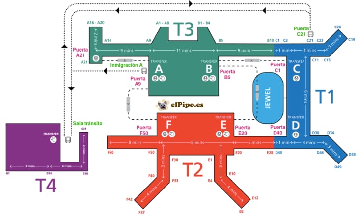 mapa de terminales del aeropuerto de Singapur