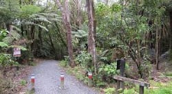 Arataki Visitor Centre