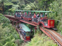 Driving Creek Railway Tours