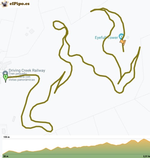 recorrido por Driving Creek Railway Tours