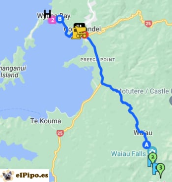 recorrido por Kauri Grove
