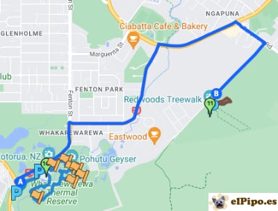 itinerario hasta Reedwoods Forest