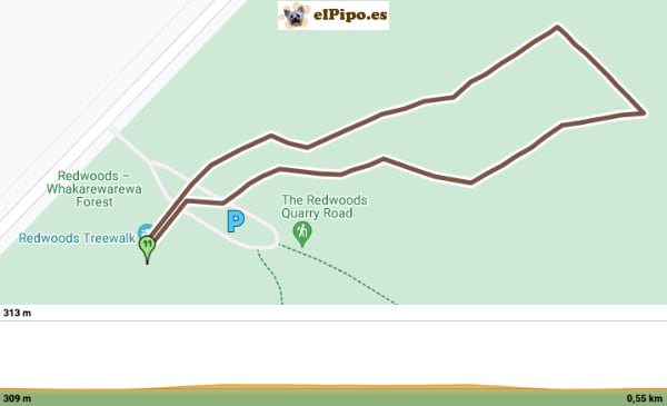 recorrido por Reedwoods Forest