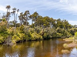 Ship Creek