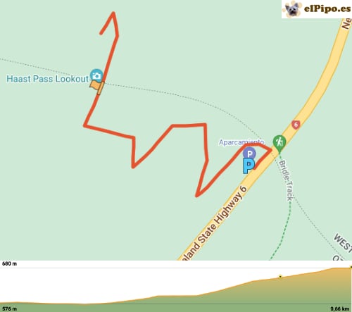recorrido por Haast Pass