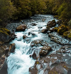 Milford Sound