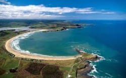 Curio Bay