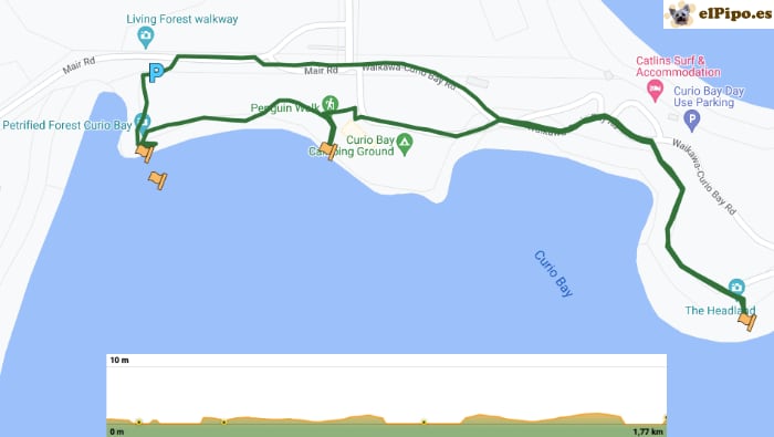 recorrido por Curio Bay