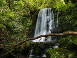Matai & Horseshoe Falls