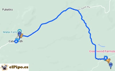 itinerario hasta Purakaunui Falls
