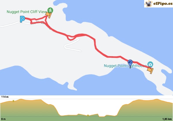 recorrido por Nugget Point