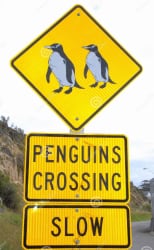 Penguin Crossing Sign