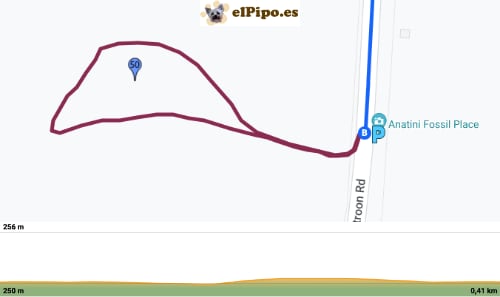 recorrido por Anatini Fossil