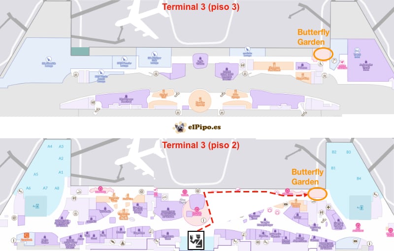 planto del piso 2 y 3 de la terminal 3