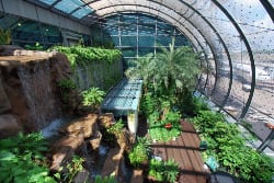 Butterfly Garden